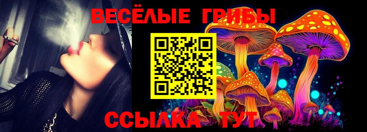 Псилоцибиновые грибы GOLDEN TEACHER Чехов